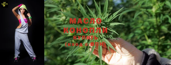 мдпв Новодвинск