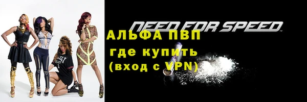 ПСИЛОЦИБИНОВЫЕ ГРИБЫ Новокубанск