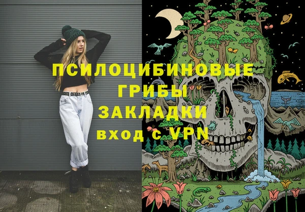 мдпв Новодвинск