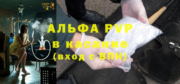 ECSTASY Новозыбков