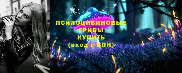 ПСИЛОЦИБИНОВЫЕ ГРИБЫ Новокубанск