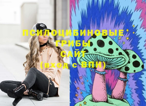 мдпв Новодвинск