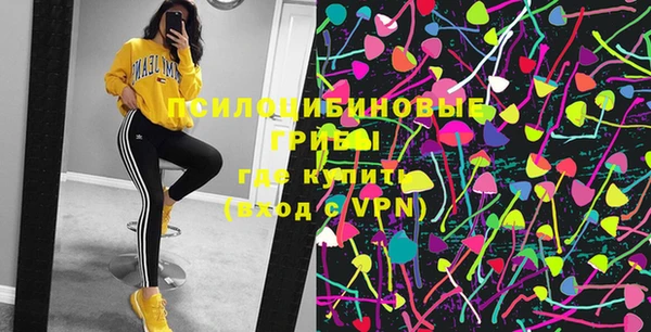 ПСИЛОЦИБИНОВЫЕ ГРИБЫ Новокубанск