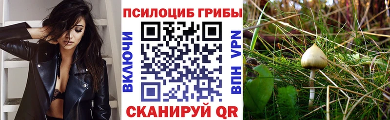 Галлюциногенные грибы Magic Shrooms  Власиха 